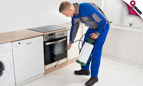 Pest Control: Cockroach & Bedbug Treatment Services!